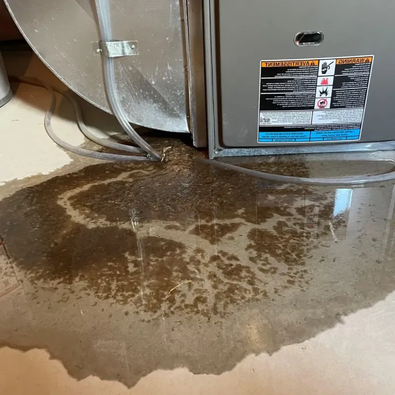Pipe Burst and Leak Restoration in Mount Pleasant, UT