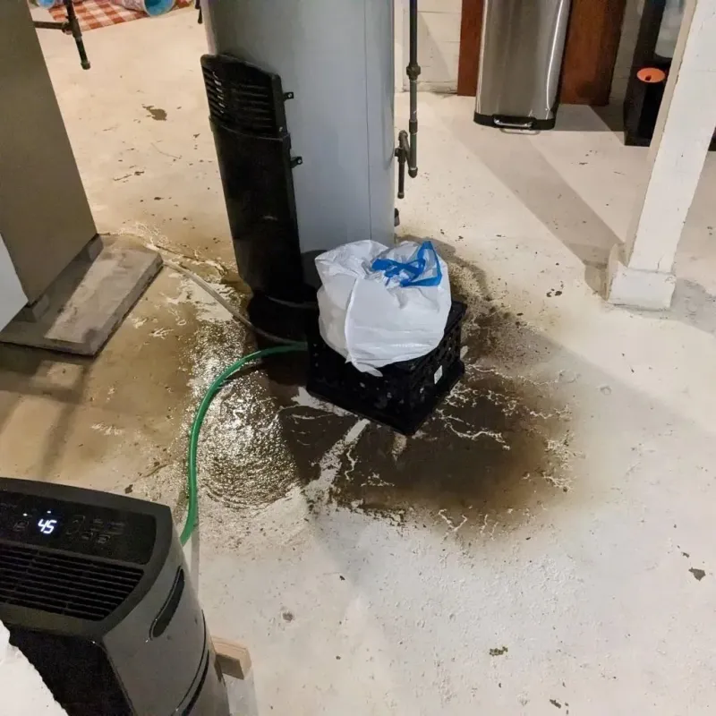 Sewage Backup Cleanup Service in Mount Pleasant, UT